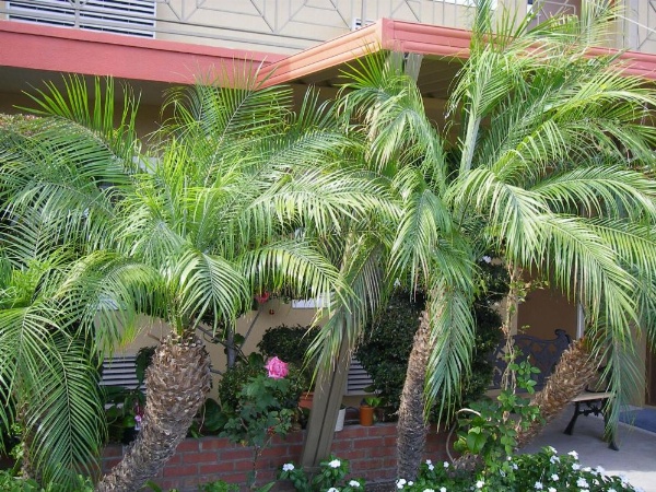 Fullerton Lodge image 19